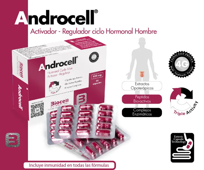 Células Madre